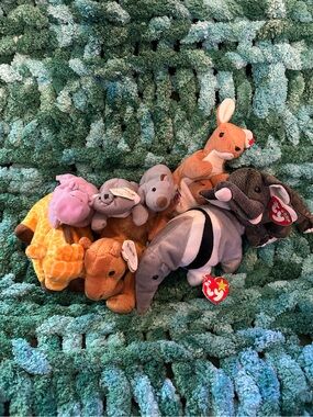 Zoo Bundle